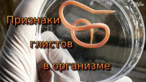 Симптомы глистов. Как узнать, что есть гельминты?