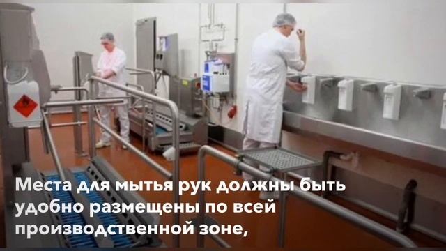 GMP. Внедрение системы ХАССП на пищевых предприятиях. Бытовые помещения и мытьё рук. смотреть онлайн