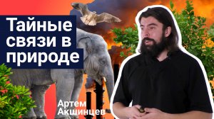 Тайные связи в природе - Артём Акшинцев | Стань ученым!