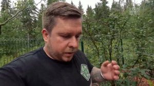 Финал реализации объекта. Сад в природном / скандинавском /карельском / финском стиле. Каскад.
