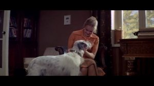 Буктрейлер к книге "Белый Бим Черное Ухо"  Гавриила Троепольского