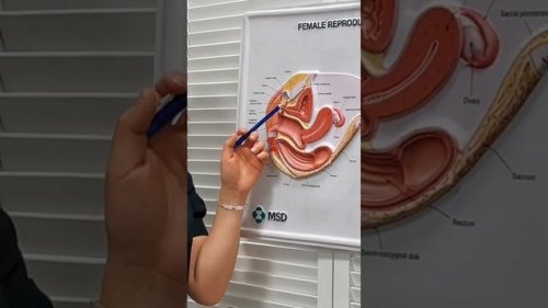 Хлороформмен жыныстық қатынас онлайн Студенттермен жыныстық қатынас