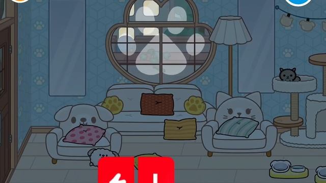 ЧТО бывает, когда у вас живёт кот?