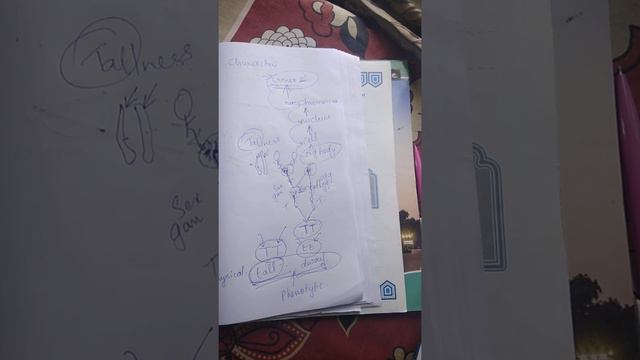 Sslc Biology chapter 6 Unravelling mysteries of genetic world part 1 смотреть онлайн