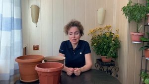 КАЛЛЫ посадка и уход.