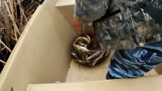 Рыбалка в Каралате апрель 2016 г смотреть онлайн