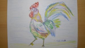 Rooster drawing. Рисунок петуха.