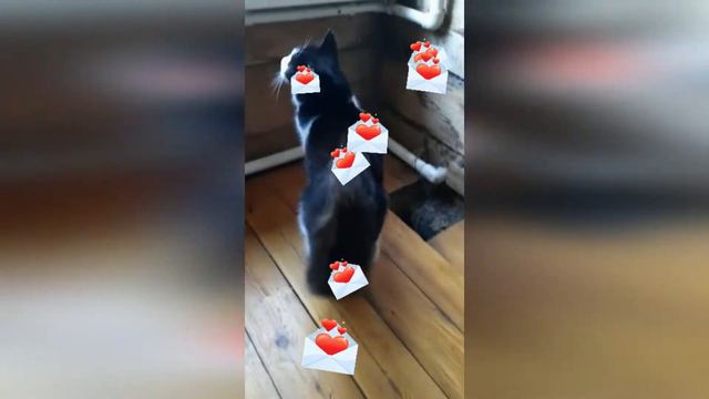 Привет от малявочек когда я лежала в больнице (#2) смотреть онлайн