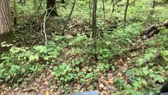 Покатушки по лесу на Currus R11 и Электровелосипеде. смотреть онлайн