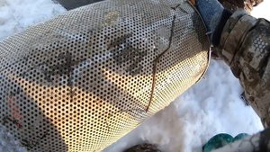 НУ ПОГОДИТЕ ЩУКИ И НАЛИМЫ! ГАЛЬЯН ЛУЧШИЙ ЖИВЕЦ ДЛЯ РЫБАЛКИ! ЗАГОТАВЛИВАЕМ ЖИВЦА ДО ПЕРВОГО ЛЬДА!