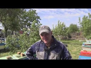 С Акацией пролетели.