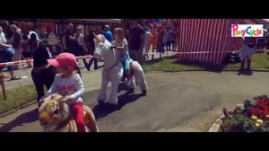 Детские лошадки Поницикл (Ponicicle)