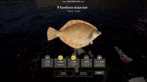 Фарм на норвежском море!!!/Тур на Норвежское море!/Фарм рр4