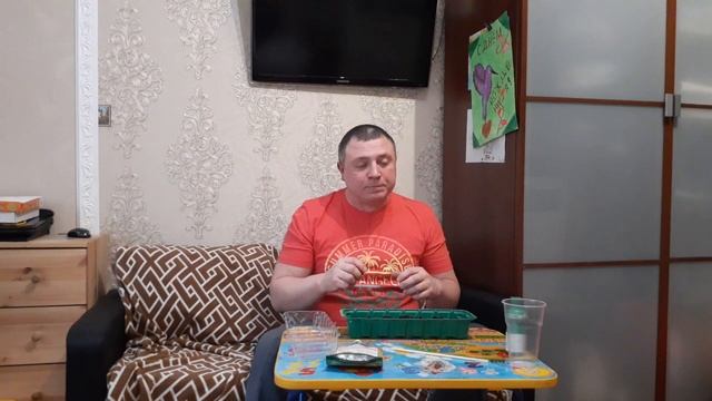 Торфяные таблетки лайфхак для посадки!!!