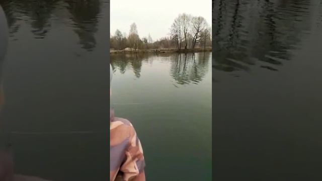 Зацепил жёсткую форель,🐟!