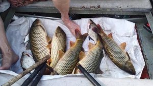 Рыбалка на реке Владимировка