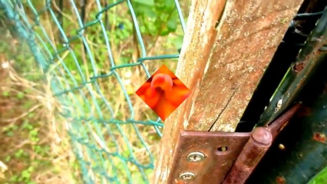 test camera ixus 145 смотреть онлайн