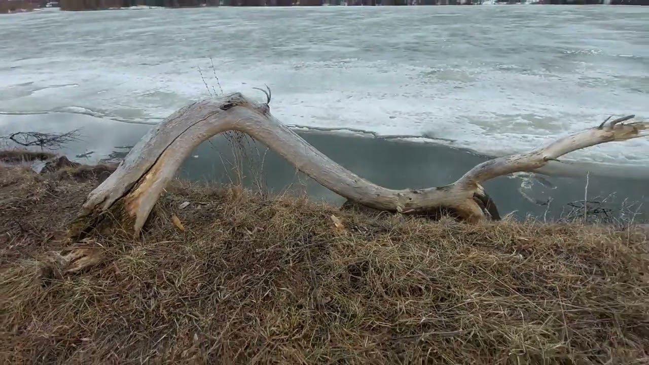 Кто потерял пиво? Половодье на реке Суре! Птицы подарили карася) Поход на реку