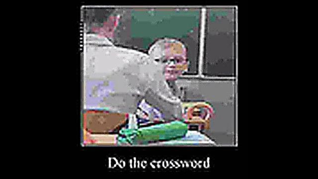 ду зе кроссворд? смотреть онлайн