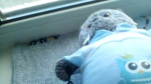 Идём в больницу басик заболел😮