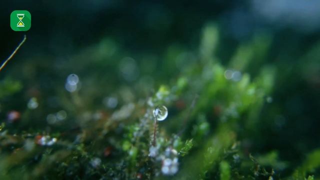 Как брал омовение шейх аль-Албани | Абу Яхья аль-Къирми смотреть онлайн