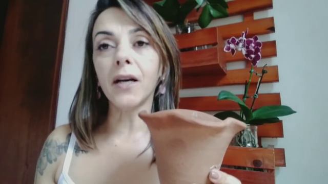 COMO REPLANTAR PHALAENOPSIS NA PEDRA BRITA🌷 смотреть онлайн