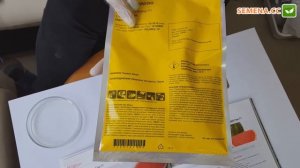 Антифейк арбуз Фарао Syngenta