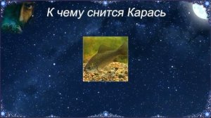 К чему снится Карась (Сонник)