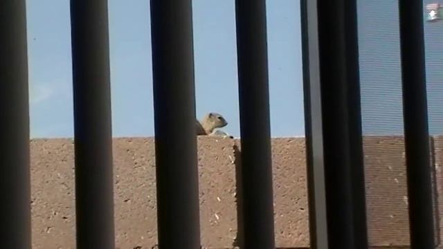 PANASONIC SDR-H100 TEST #5 смотреть онлайн