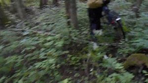 Бородино велопробег 90 км, с проломом через крапиву...