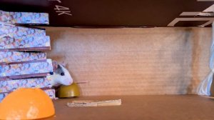 Маленькая крыса Рата ПРОХОДИТ ЛАБИРИНТ