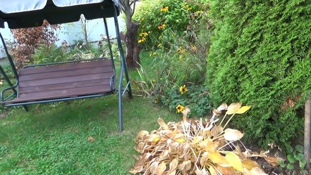 Показываю, чем мои 8 соток удивляют соседей и друзей. Обзор участка в октябре. Урожай. Долгоцветущи смотреть онлайн