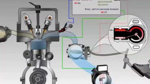 Датчик положения дроссельной заслонки