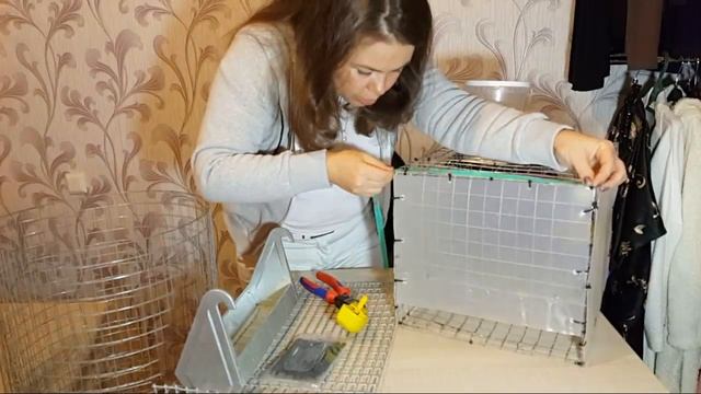 Клетка для перепелов. Как сделать? Сетка, поилка, поддон и размеры смотреть онлайн