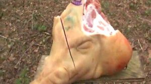 Испытание на прочность клинка катаны без дола