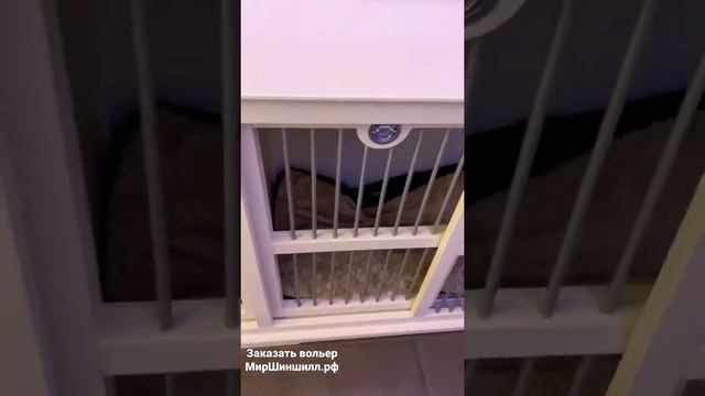 Комнатный вольер для двух собак | Вольер-тумба купе механизмом | Укреплённый вольер | Мир Шиншилл смотреть онлайн