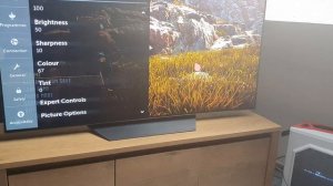 Horizon Zero Dawn best HDR settings for PC | LG B9