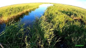 Рыбалка на паук в болотном ручье.