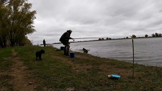 Ем икру ложками! Рыбалка в Астрахани на Воблу! Апрель 2023! ч 2. смотреть онлайн