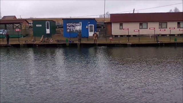 Сиг и форель с 1 сектора! Клевое место, д. Савельево смотреть онлайн