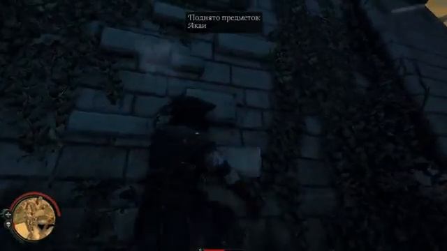 Vendetta Curse of Raven - ПРОХОЖДЕНИЕ #1 смотреть онлайн