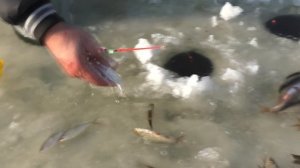 ЛАЙФХАКИ и СОВЕТЫ для ловли рыбы зимой. My fishing