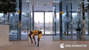 Сбер купил робота-собаку!