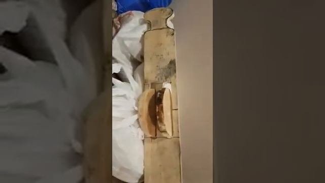 Торпеда для протяжки сетей подольдом.ч1