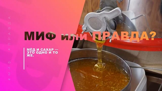 МИФ ИЛИ ПРАВДА? Выпуск 15 | Выпадение волос? | Мёд и сахар одно и то же? | Луна влияет на человека?