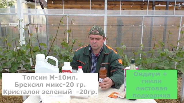 Новая схема обработки винограда на 2021г. смотреть онлайн