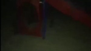 CARTOON CAT В РЕАЛЬНОЙ ЖИЗНИ! КАРТОН КЭТ В РЕАЛЬНОЙ ЖИЗНИ! SCP /// КАРТОН КЭТ /// CARTOON CAT