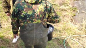 Зарыбление местного водоема в Октябрьском районе Волгоградской области...весна 2022