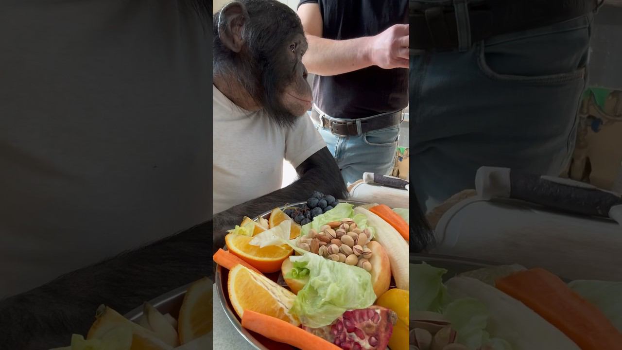 Что едят обезьяны? смотреть онлайн