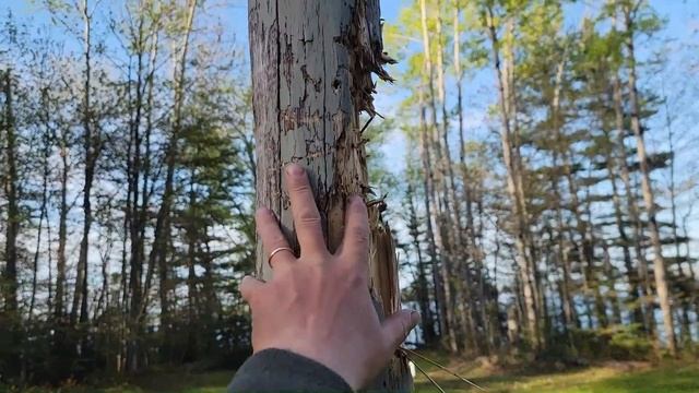 Атака медведя. Экспедиция на Великие Озёра. Озеро Верхнее